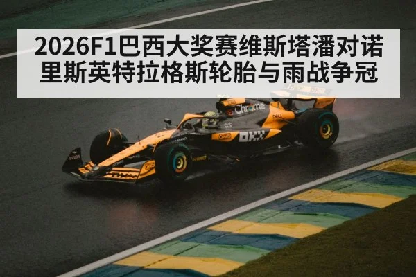 Formula 1 rain race